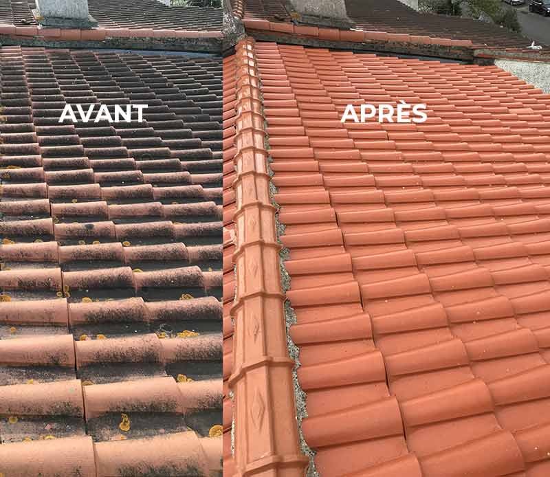 Nettoyage toiture - PROVIGNAL TOITURE : Artisan couvreur basé à Montauban intervient dans le Tarn-et-Garonne (82), la Haute-Garonne (31) et le Tarn (81)  : nettoyage, protection anti-mousse toiture, démoussage. Application d’un revêtement peinture hydrofuge coloré de toit. Artisan couvreur dans le Tarn-et-Garonne (82), la Haute-Garonne (31) et le Tarn (81).